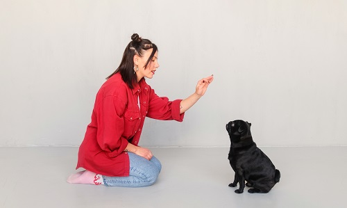 éducateur canin à domicile à Clermont-Ferrand